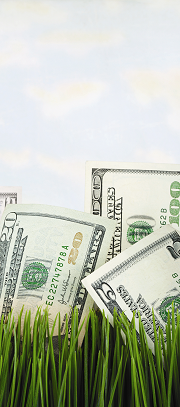 Longmont Business Marketing Growth